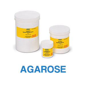 Agarose Products Agarose Products