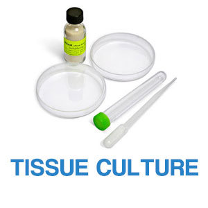 Tissue Culture Products Tissue Culture Products